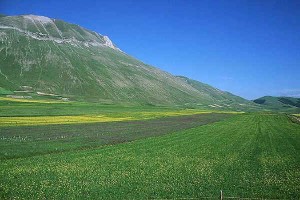 Caccia nel Parco dei Monti Sibillini